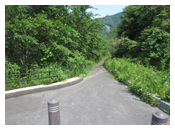 遊歩道