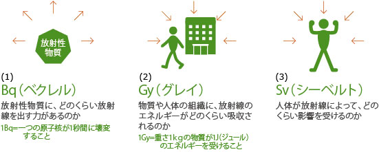 放射線の単位を説明している図