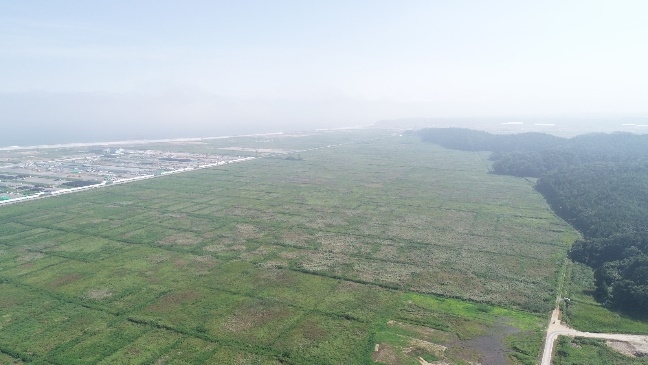 Tsunami flooded farmland: Namie Town.