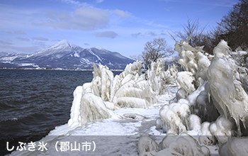 しふ?き氷（郡山市）