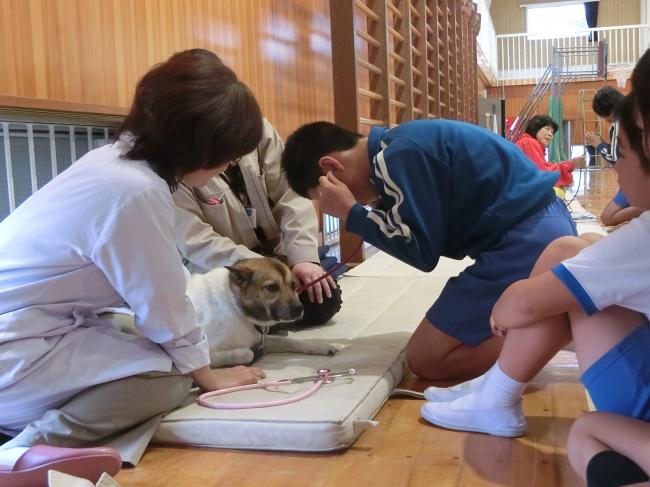 小学校への獣医師派遣事業