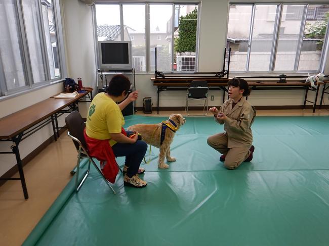 飼い犬のしつけ方教室の様子