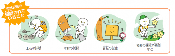 自然公園で規制されていること　土石の採取　木材の伐採　看板の設置　植物の採取や損傷など