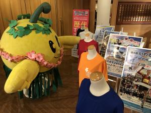 フラキビタン写真