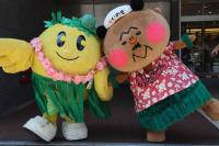 フラキビタン写真