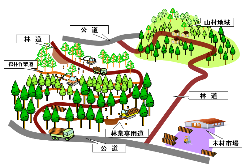 林内路網のイメージ