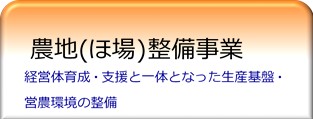 業務‗ほ場上