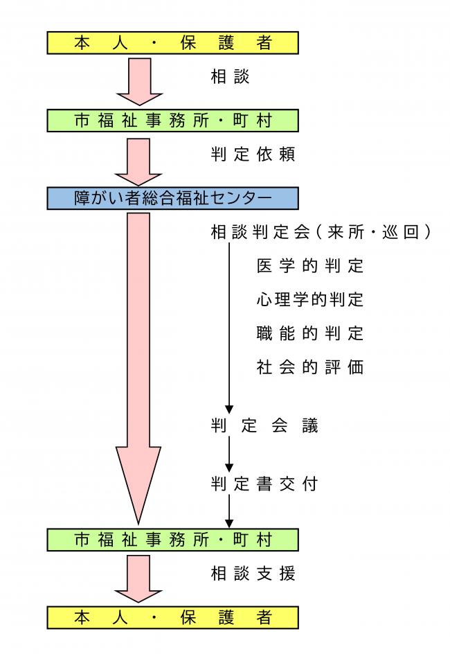 知的障がい者相談判定会事務の流れをイラストで表したものです。