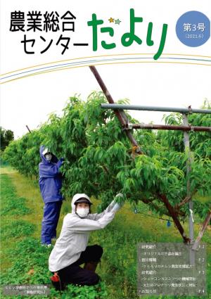 広報誌第3号