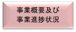 事業概要及び事業進捗状況