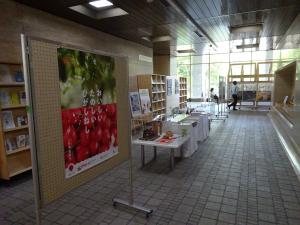 在道３県・北海道合同写真展３