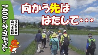 動画へのリンク