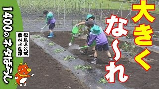 動画へのリンク