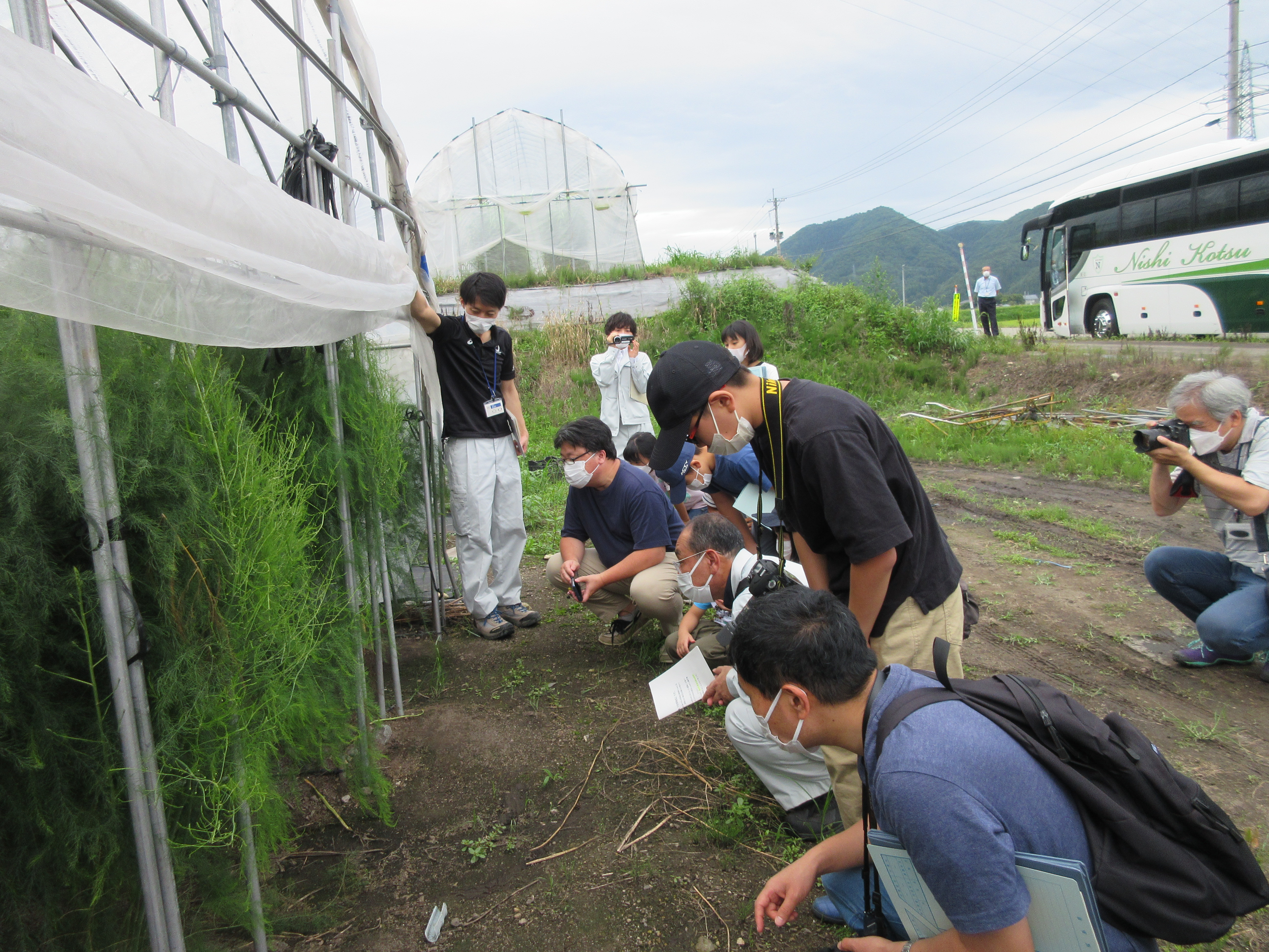 田部地区