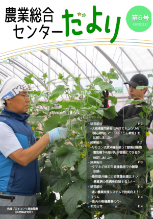 第6号