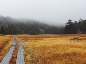 大江湿原　秋（１０月）