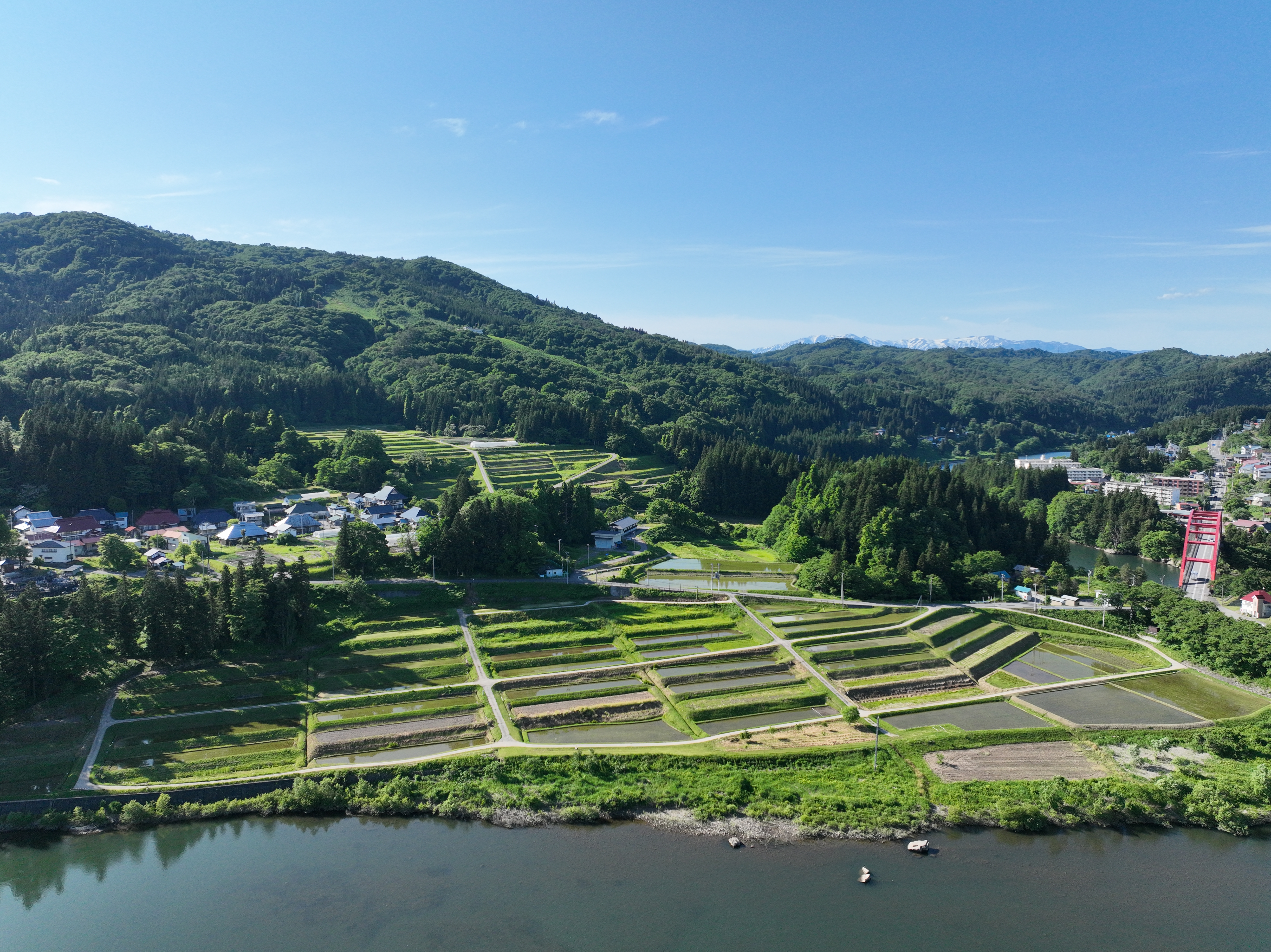 小巻の棚田