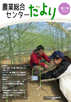 第7号