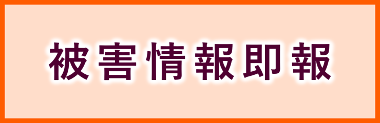 被害情報即報