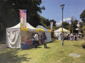 市民祭り写真