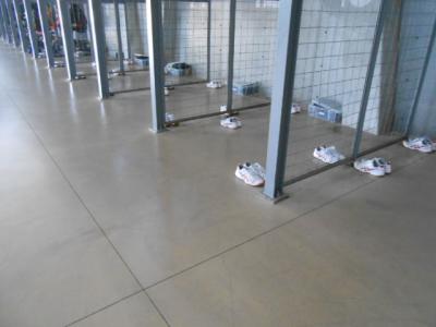 きちんと整頓されている靴