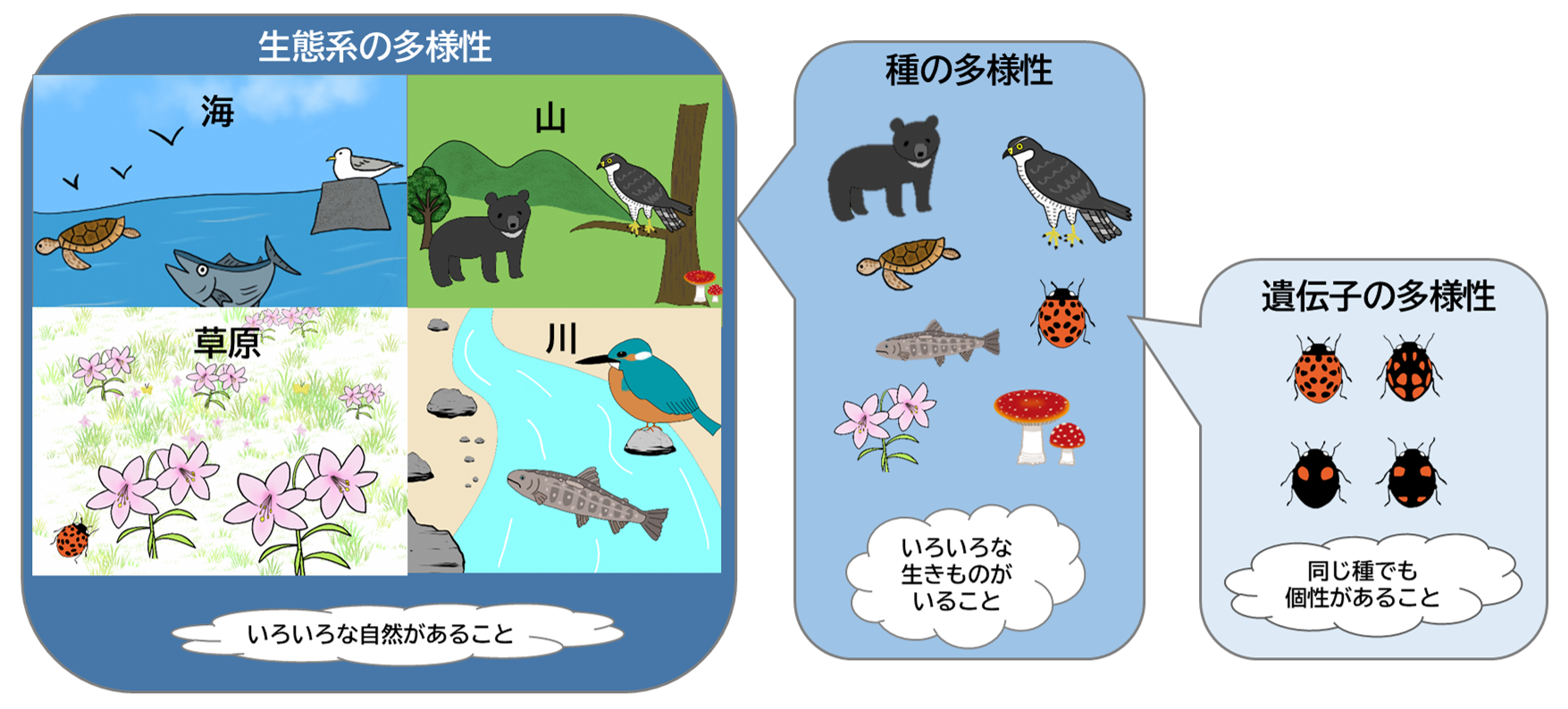 生物多様性とは