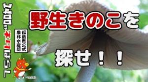 動画へのリンク