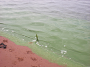 イパカライ湖