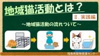 実践編サムネ