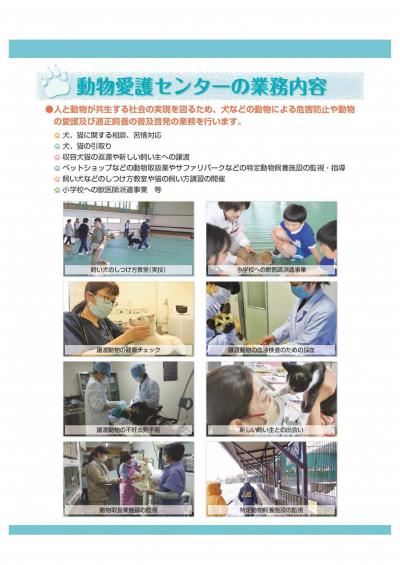 令和７年度獣医師募集パンフレット-5