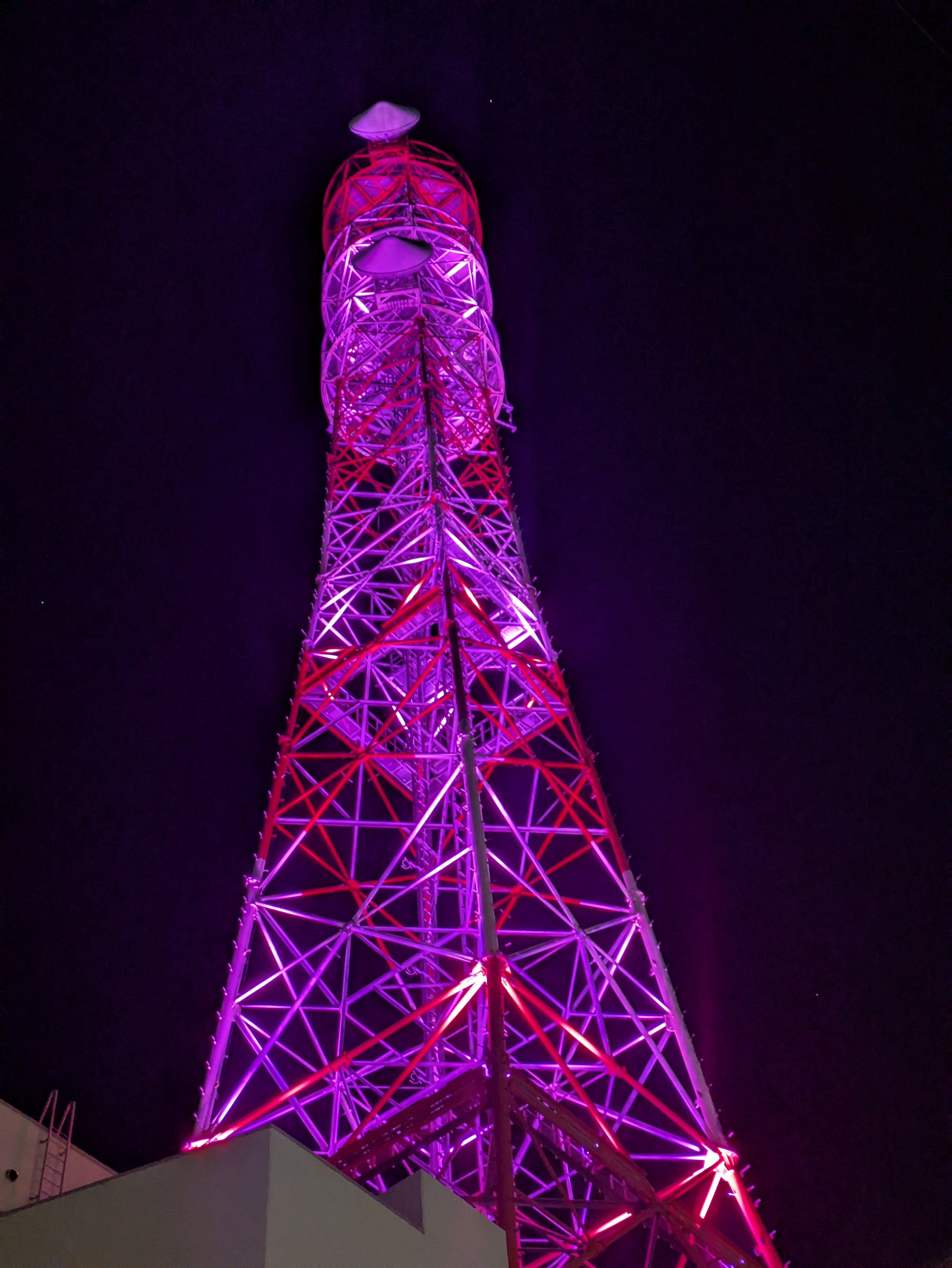 さくら福島