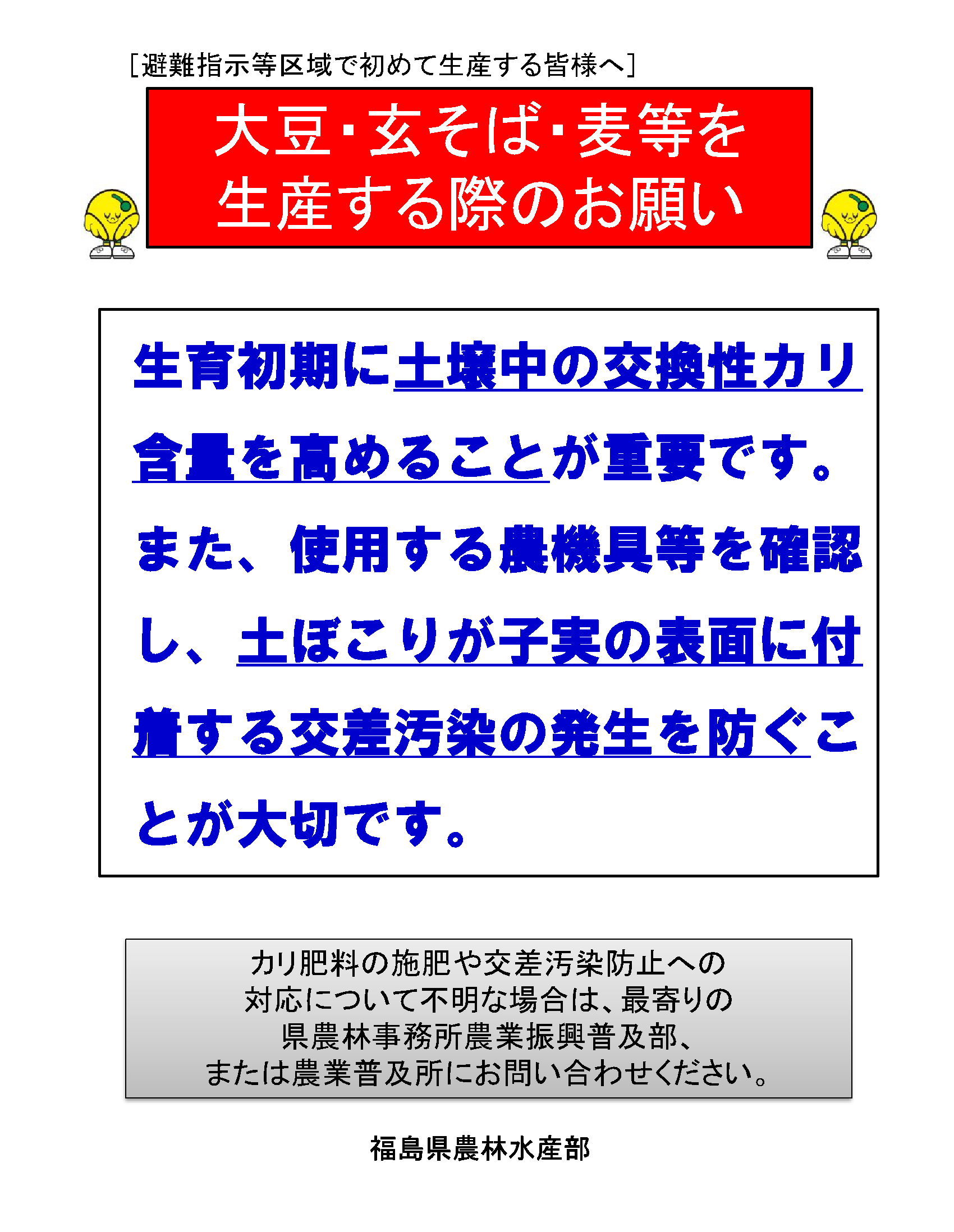 チラシ５