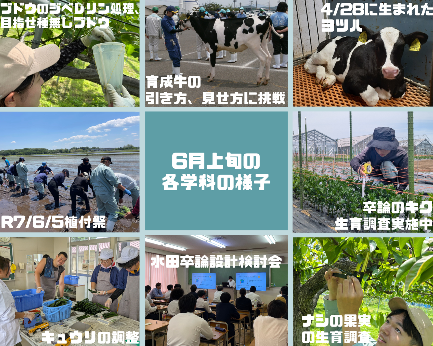 6月