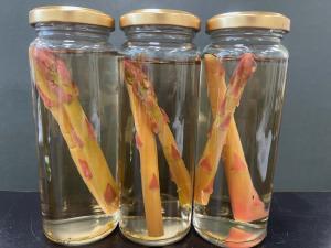 はるむらさきエフピクルス