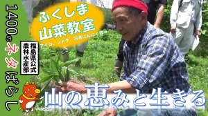 sansai