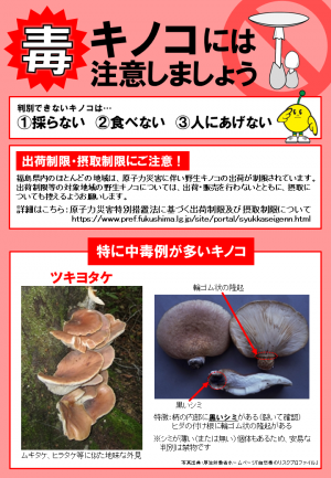 キノコリーフレットサムネイル