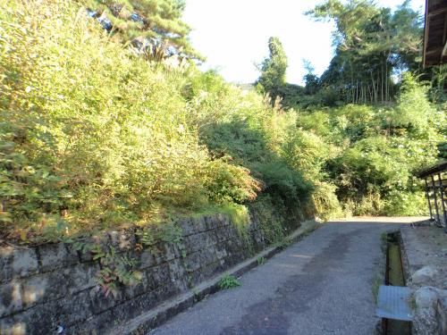 桑原