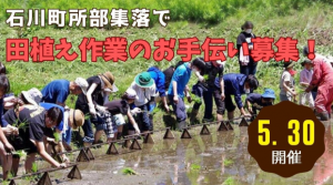 石川町所部田植え