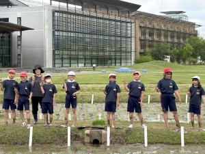 田植え終了