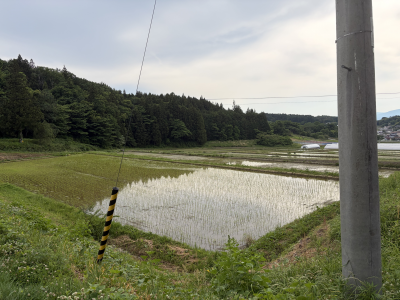 東和の針道棚田