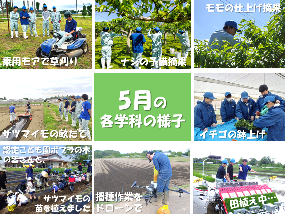 5月の各学科の様子