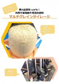 リーフレット