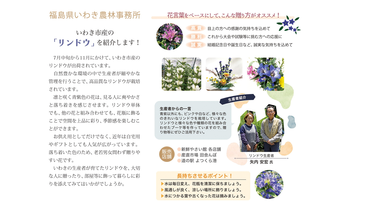 リンドウ
