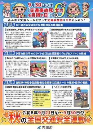 内閣府チラシ
