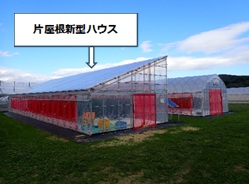 片屋根新型ハウス