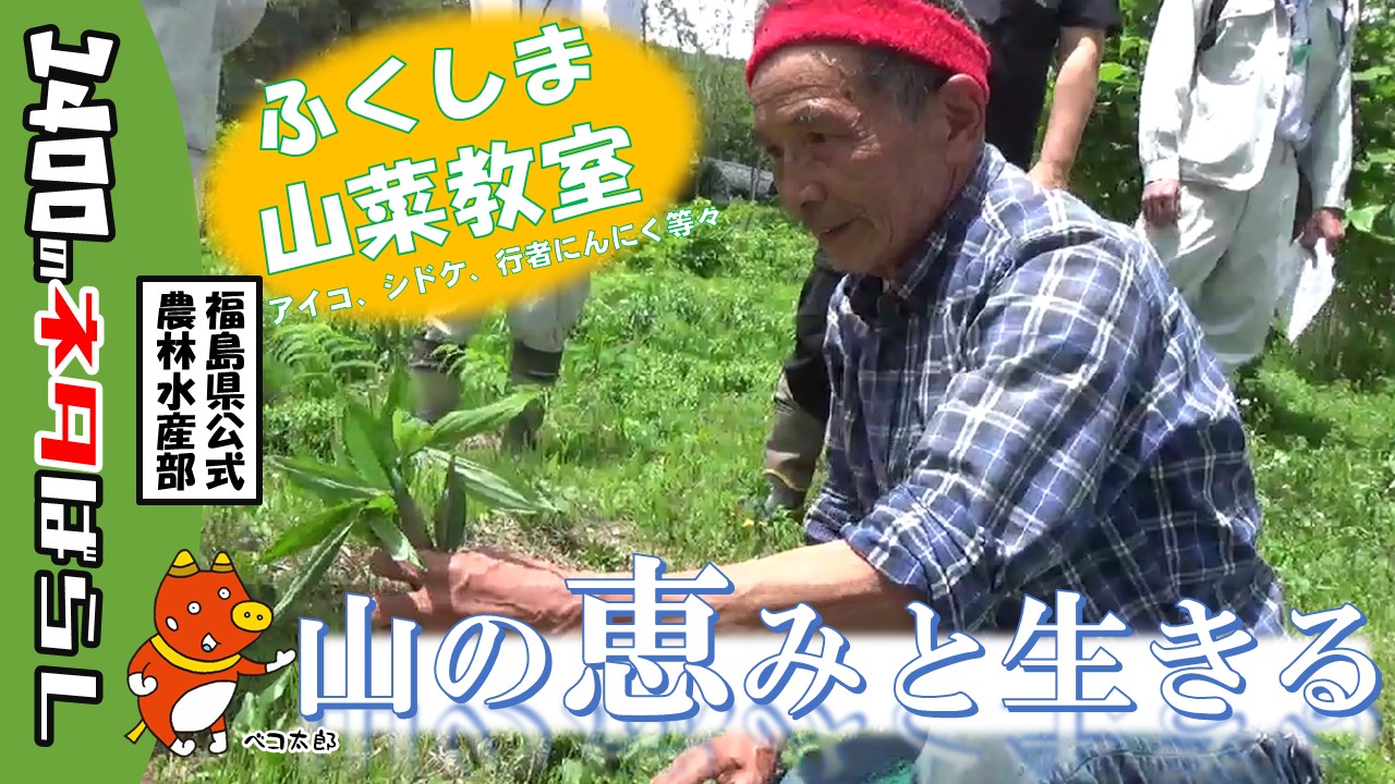 【山菜教室】森人に学ぶ、山の幸のネタばらし