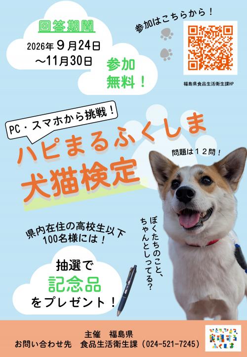 チラシ
