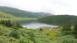 鎌沼