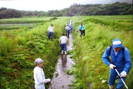 農業用の水路を清掃している写真です。