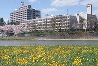 県庁の写真